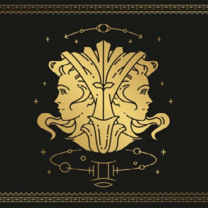 মিথুন রাশির জাতক-জাতিকাদের জন্য আজকের দিনটি কেমন যাবে?