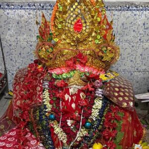 মুর্শিদাবাদের এই সতীপীঠে দেবীর রূপ দেখা বারণ! মহাষ্টমীতে পুরোহিতের চোখ বেঁধে হয় স্নান, কেন এমন কঠোর নিয়ম?