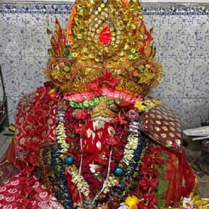 ইতিহাসের সাক্ষী মুর্শিদাবাদের আদি কিরীটেশ্বরী মন্দির! যেখানে দেবী পূজিত হন ‘বিমলা’ রূপে, অন্নভোগে মাছ থাকা কেন বাধ্যতামূলক?