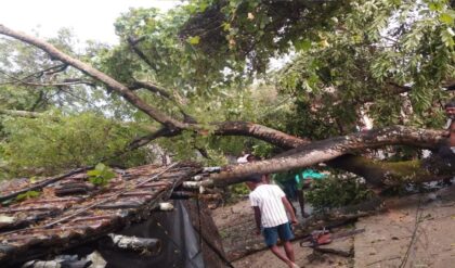 হঠাৎ দমকা ঝড়ে উড়ে গেল বাড়ির টিনের চাল! কয়েক মিনিটের দুর্যোগে তছনছ চন্দননগর, ঘটতে পারত বড় বিপদ