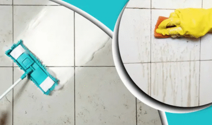 বাথরুম পরিষ্কারের সহজ টিপস জানতে চান? তাহলে পড়ুন বাথরুম পরিষ্কারের সহজ টিপস জানতে চান? তাহলে পড়ুন