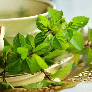 বাড়িতে রাখুন এই ২১টি ঔষধি গাছ, এর অবাক করা গুনাগুন জানলে চমকে যাবেন বাড়িতে রাখুন এই ২১টি ঔষধি গাছ, এর অবাক করা গুনাগুন জানলে চমকে যাবেন