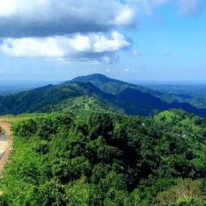 পাহাড় এখন সম্পূর্ণ নিরাপদ! ‘ভয় পাবেন না, পর্যটকরা আবার আসুন’, মহাকাল মন্দিরে পুজো দিয়ে বড় আহ্বান জানালেন মমতা বন্দ্যোপাধ্যায় পাহাড় এখন সম্পূর্ণ নিরাপদ! ‘ভয় পাবেন না, পর্যটকরা আবার আসুন’, মহাকাল মন্দিরে পুজো দিয়ে বড় আহ্বান জানালেন মমতা বন্দ্যোপাধ্যায়