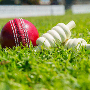 খেলা নয়, সাজঘরের ‘সংস্কৃতি’ বদলাতেই রিজওয়ানকে সরালেন কোচ হেসন? কেন এমন অভিযোগ তুললেন প্রাক্তন অধিনায়ক? খেলা নয়, সাজঘরের ‘সংস্কৃতি’ বদলাতেই রিজওয়ানকে সরালেন কোচ হেসন? কেন এমন অভিযোগ তুললেন প্রাক্তন অধিনায়ক?