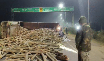 বাঁকুড়া থেকে উত্তর ২৪ পরগনা যাওয়ার পথে উল্টে গেল আকাশমণি কাঠের লরি! বেআইনি পাচারের সন্দেহে তদন্তে বনদপ্তর