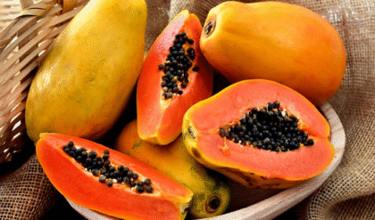 ওজন কমাতে জাদুকরী সমাধান, ডায়েটে রাখুন পাকা পেঁপের বীজ!