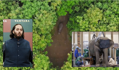 অনন্ত আম্বানির ‘বনতারা’র জয়, বিপন্ন প্রাণী আমদানিতে নিষেধাজ্ঞা তুলে নিল জাতিসংঘ ওয়াইল্ডলাইফ ট্রেড বডি!