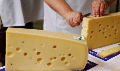 স্তন ক্যান্সারের ঝুঁকি বাড়াচ্ছে পনির, পণ্যের প্যাকেটে সতর্কতা লেবেল চেয়ে FDA-এর কাছে আবেদন