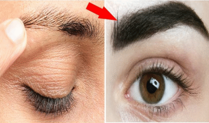 পাতলা ভুরু নিয়ে চিন্তা? ঘন ও কালো ভুরুর জন্য ম্যাজিকের মতো কাজ করবে এই ৭ ঘরোয়া টোটকা!