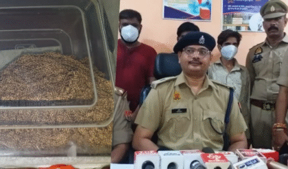 কোটি কোটি টাকার সোনা ও হীরা উদ্ধার, নয়ডা থেকে চুরি করে এগরায় গা ঢাকা, দুই পরিচারিকাকে গ্রেফতার করল যৌথ পুলিশ বাহিনী