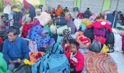 SIR আতঙ্ক অতীত! বসিরহাটে ‘মিনি বাংলাদেশ’ গড়ে দিব্যি সংসার পেতেছেন অনুপ্রবেশকারীরা! চলছে দেদার সরকারি সুবিধা ভোগ