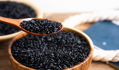 কিডনি রোগীদের জন্য কালো ভাত কী ভালো? উত্তরটি জেনেনিন সকলে