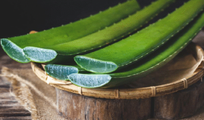 ত্বকের ফাটা দাগের সমস্যা অনেকখানি কমে আসবে আজকের এই ট্রিক কাজে লাগালে