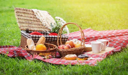 শীতের শুরুতেই বড় চমক! রূপনারায়ণের তীরে পিকনিকে কড়াকড়ি ও সুবিধা বাড়াল পৌরসভা, কী কী নতুন নিয়ম চালু?