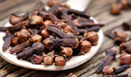 এই কালে লবঙ্গ খাছ্নে? উপকারী না ক্ষতিকর? জানুন বিশেষজ্ঞের মত