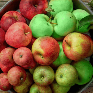 প্রতিদিন আপেল খাওয়ার কিছু উপকারিতা জানতে চান? পড়ুন তথ্যটি