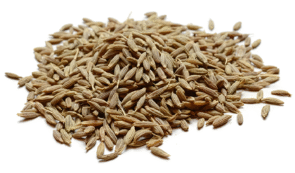 জিরা ব্যবহারে কি কি উপকার মিলবে জানলে অবাক হবেন