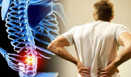 শক্ত হাড়ের জন্য সেরা খাবার কোনগুলি, জানুন একনজরে