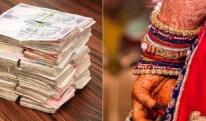 ‘পণের জন্য মারধর, ছাদ থেকে ধাক্কা’! রাজ্যপালের নাতির বিরুদ্ধে খুনের চেষ্টার অভিযোগ স্ত্রীর!