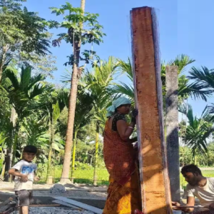 প্রলয়ঙ্করী বন্যার ক্ষত মুছে ঘুরে দাঁড়াচ্ছে ডুয়ার্স! ধ্বংসস্তূপের মাঝেই নতুন স্বপ্ন বুনছে ধূপগুড়ি-ময়নাগুড়ি