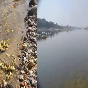 সিন্ধু নদে জলের বদলে বইছে সোনা! পাকিস্তান অধিকৃত কাশ্মীরে রাতারাতি ভাগ্য বদলাচ্ছে হাজারো মানুষের