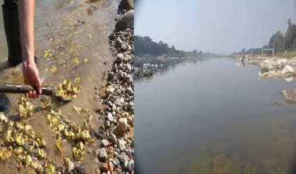 সিন্ধু নদে জলের বদলে বইছে সোনা! পাকিস্তান অধিকৃত কাশ্মীরে রাতারাতি ভাগ্য বদলাচ্ছে হাজারো মানুষের