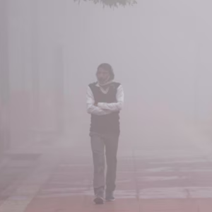 উত্তরে কুয়াশার ‘রেড অ্যালার্ট’! ১১ ডিগ্রিতে কাঁপছে জলপাইগুড়ি, বড়দিনের আগেই হাড়কাঁপানো শীতের এন্ট্রি।