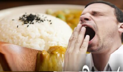 বিশেষ: কেন দুপুরে ভাত খেলে ঘুম পায়? জেনেনিন কি বলছেন ডায়েটিশিয়ানরা