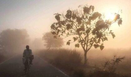 Weather: দার্জিলিংয়ে তাপমাত্রা এক ধাক্কায় ৫ ডিগ্রি, আরও পারদ পতনের পূর্বাভাস