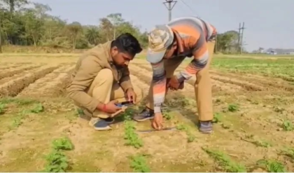বাঘ না কি বাঘরোল? জঙ্গলমহলে পায়ের ছাপ সংগ্রহ করল বন দফতর, আতঙ্কে কাঁটা গ্রামবাসী
