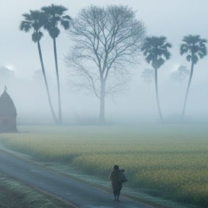 ১২-র ঘরে পারদ! হাড়কাঁপানো ঠান্ডায় মরশুমের শীতলতম দিন কলকাতায়, কতদিন চলবে এই স্পেল?