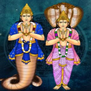 ২০২৬ সালে খুলছে ভাগ্য! রাহু-কেতুর চাল বদল, ৩ রাশির জীবনে শুরু হবে সোনালী সময়