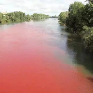 ভারতের এই নদীর জল কেন টকটকে লাল? জানলে অবাক হবেন ব্রহ্মপুত্রের এই রহস্যময় তথ্য