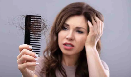 দামি শ্যাম্পু নয়, চুল ঝরা রুখবে ঘরোয়া ৪ খাবার! ১ মাস খেলেই মাথায় আসবে নতুন চুল