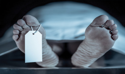 গরম বস্তিতে হাড়হিম করা ভোর! ৩২ নম্বর জাতীয় সড়কে ট্রেলারের ধাক্কায় দুমড়ে গেল গাড়ি, নিভল ৩টি প্রাণ