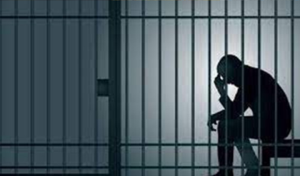 ব্যাপম কেলেঙ্কারিতে বড় রায়! ইন্দোর আদালতের নির্দেশে ১২ জালের ৫ বছরের জেল