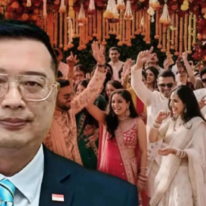 বিমান বিভ্রাটে চরম বিড়ম্বনা! ইন্ডিগোর উড়ান বাতিলের শিকার সিঙ্গাপুরের হাইকমিশনার