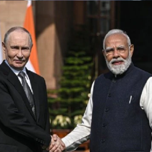 ভ্লাদিমির পুতিনের ভারত সফর শেষে বড় ধাক্কা! চাল রপ্তানিতে ট্রাম্পের ‘ট্যারিফ বোমা’, কী হবে ভারতের কৌশল?