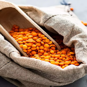 মসুর ডাল রান্নার আগে ভিজিয়ে রাখেন না? হার্ভার্ডের গবেষণা বলছে, সামান্য ভুলে হাতছাড়া হচ্ছে বহু পুষ্টিগুণ!