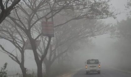 শীতের লম্বা স্পেল শুরু, মরসুমের শীতলতম সকাল; আর কত নামবে তাপমাত্রা?