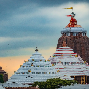 পুরীর জগন্নাথ মন্দিরের উপরে শত শত ঈগল, নীল চক্র ঘিরে উড়ন্ত পাখির রহস্যময় দৃশ্যে চাঞ্চল্য