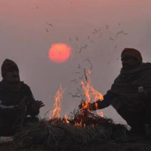 শীতের জাঁকিয়ে বসা থমকে গেল কলকাতায়, পারদ উঠল ১৫ ডিগ্রিতে; জেলায় হাড় কাঁপানো ঠান্ডা জারি