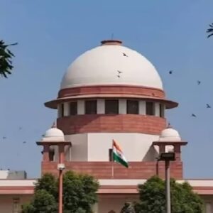 ‘নাড়া পোড়াকে রাজনৈতিক ইস্যু বানাবেন না!’ দিল্লির দূষণ নিয়ে কেন্দ্রকে কড়া বার্তা সুপ্রিম কোর্টের