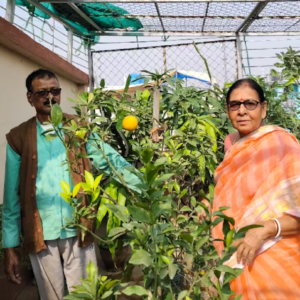 এক টুকরো ‘সবুজ’-ই আজ ভরসা, মুহূর্তে বদলে দিয়েছে নিঃসন্তান মনি দম্পতির জীবন