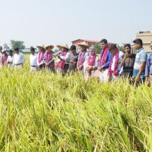 পূর্ব মেদিনীপুরের খেজুরিতে চাঞ্চল্য! সাতসকালে ধানের জমি থেকে অজ্ঞাতপরিচয় যুবকের মৃতদেহ উদ্ধার, শ্বাসরোধ করে হত্যার অনুমান