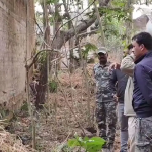 পুরুলিয়ায় মর্মান্তিক অগ্নিকাণ্ড, খড়ের গাদায় পুড়ে মৃত্যু দুই শিশুর, তদন্ত শুরু করল পুলিশ