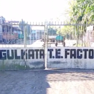 বকেয়া বেতন ও বোনাস না দিয়েই গভীর রাতে ‘পলায়ন’, ডুয়ার্সের মোগলকাটা চা বাগান বন্ধ, কর্মহীন ,076$ শ্রমিক