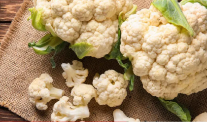 শুধু কলের জলে নয়! ফুলকপির ভাঁজে লুকিয়ে থাকা পোকা ও রাসায়নিক দূর করার ৫টি সহজ ঘরোয়া পদ্ধতি