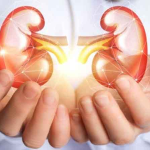 কিডনি রোগের নীরব আক্রমণ! ৭টি মারাত্মক ভুল যা আপনার শরীরের গুরুত্বপূর্ণ অঙ্গটিকে ধ্বংস করছে