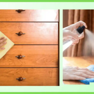 কাঠের আসবাবপত্র পরিষ্কার করার সহজ কৌশল, বাঁচবে বার্নিশের খরচ, ফিরবে রাজকীয় জৌলুস